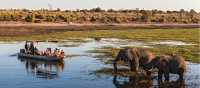 Wildlife viewing in Chobe River | Peter Walton