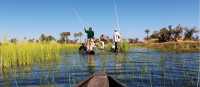 Cruising the Okavango Delta | Peter Walton