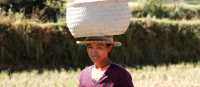 Local woman carrying farmed crops on her head | Ian Williams