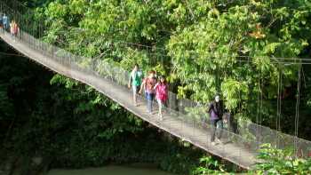 Hikers walking over a jungle bridge