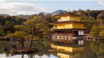 Golden Pavilion, Kinkakuji | Felipe Romero Beltran