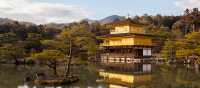 Golden Pavilion, Kinkakuji | Felipe Romero Beltran