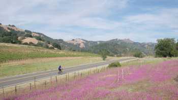 California Wine Country in Springtime