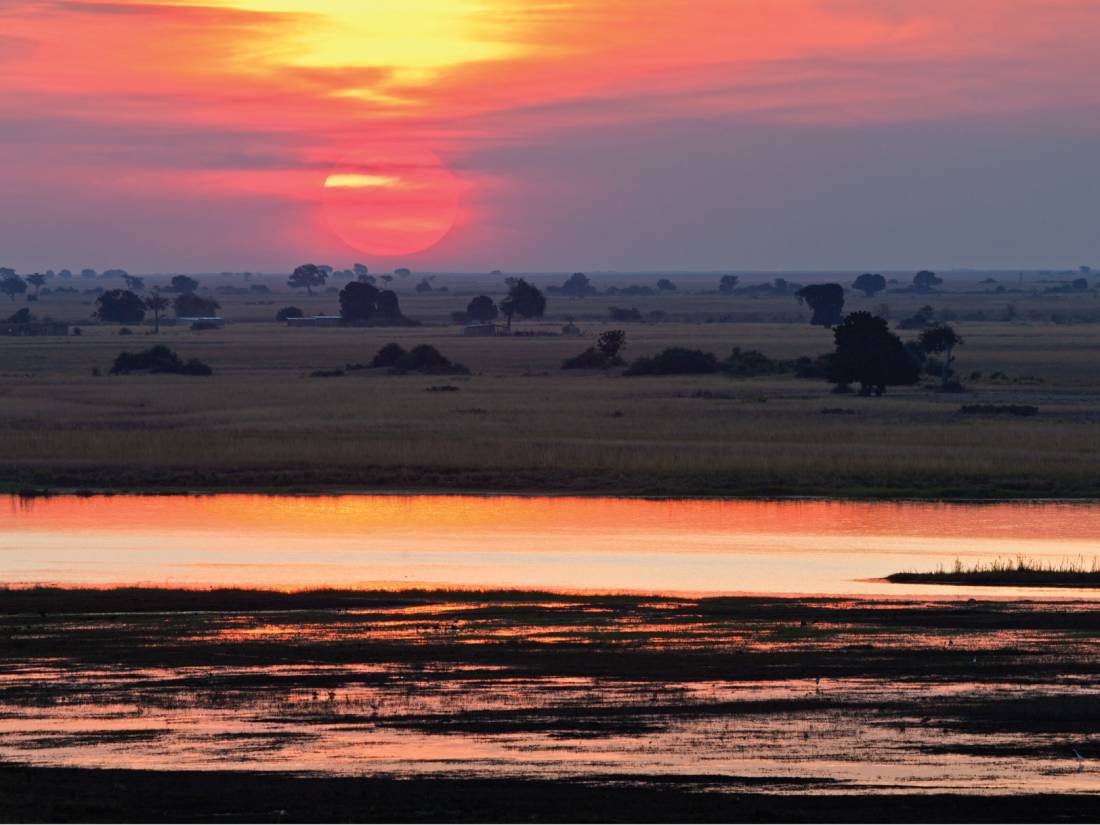 Beautiful colours on the bank of the Chobe river |  <i>Peter Walton</i>