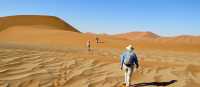 Walking in the Namib Desert | Elizabeth Bosma