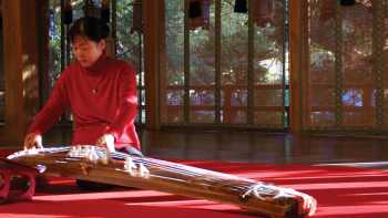 Woman demonstrating the use of a traditional Japanese koto | Maria Visconti