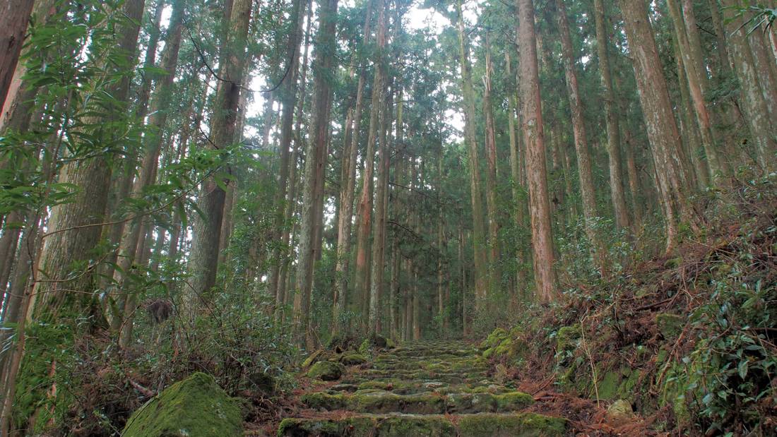 Mossy stairs hiking the beautiful Kumano Kodo Trail |  <i>Jake Hutchins</i>
