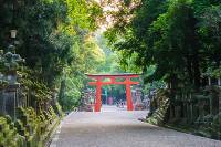 Japan's Ancient Capitals