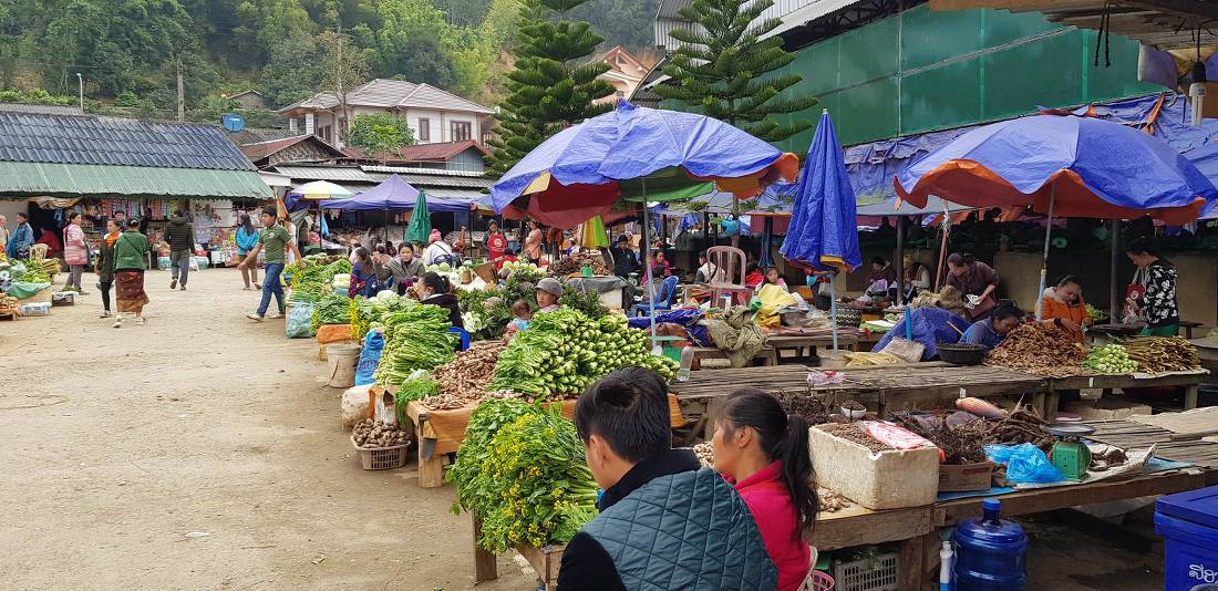 Local village markets in Laos |  <i>Sandra Hopkins</i>