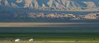 An Oirat nomad community at the base of the Gobi Altai mountains, Mongolia | Tim Cope