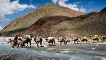 Camel crossing, Mongolia | Cam Cope