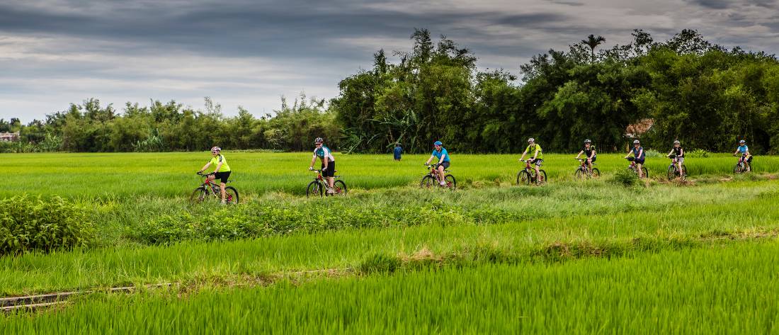 Rice paddy cycling in Vietnam |  <i>Richard I'Anson</i>