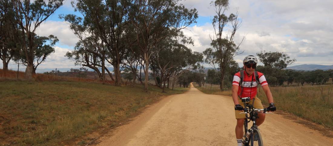 Cyclist on the CWCR from Gulgong to Mudgee |  <i>Ross Baker</i>