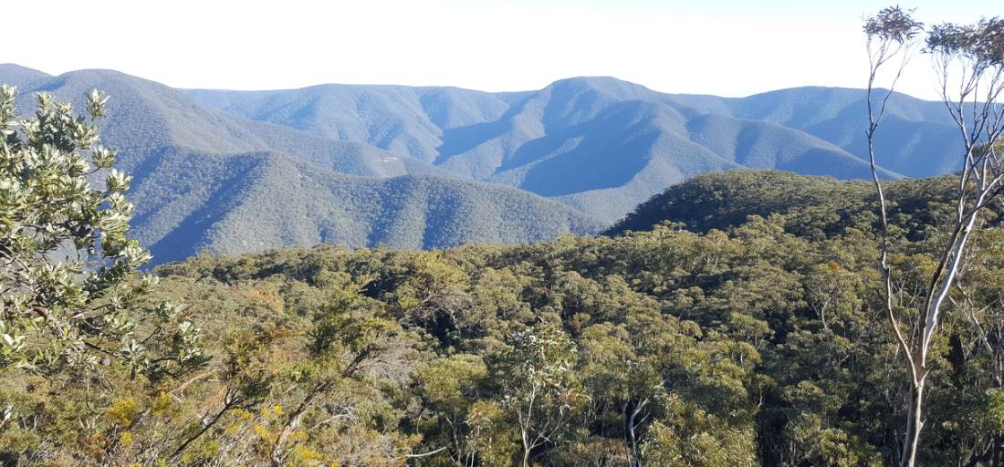 View from Mt Morilla on Day 2 of K2K | <i>Lauren Storaker</i>