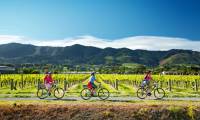 Cycling along the Nelson Great Taste Trail |  <i>Dean McKenzie</i>