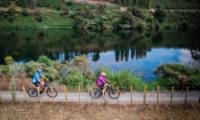 Exploring the Waikato River by bike |  <i>Waikato River Trail</i>