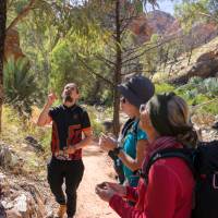 The cultural conversation at Standley Chasm will teach you more about Arrente country |  <i>Luke Tscharke</i>