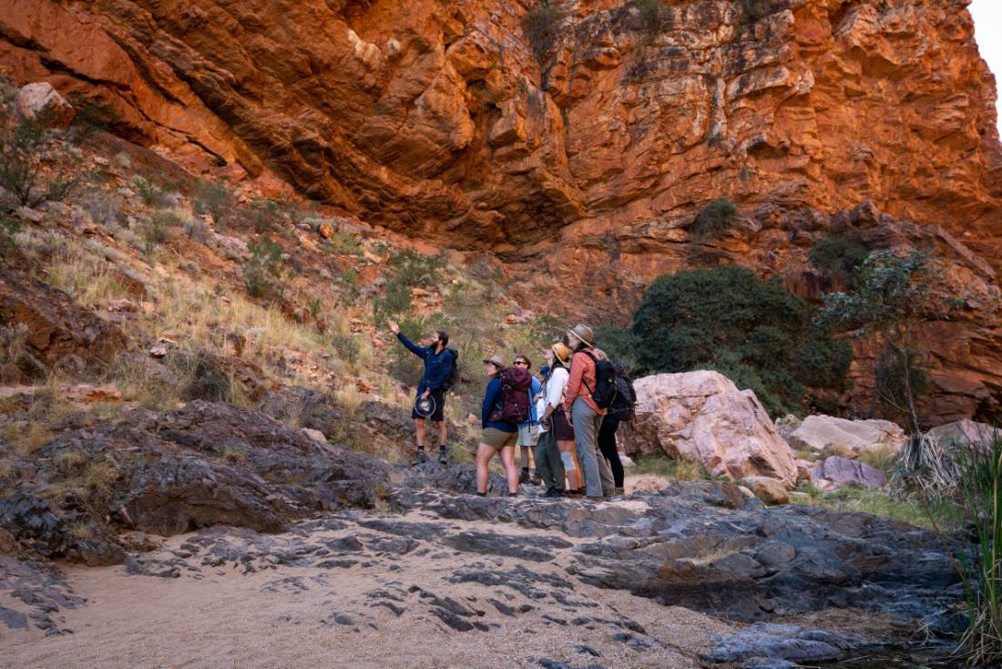 Our knowledgeable guides are one of the many highlights on the Larapinta Trail |  <i>Shaana McNaught</i>