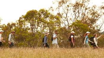 Scenic Rim walkers