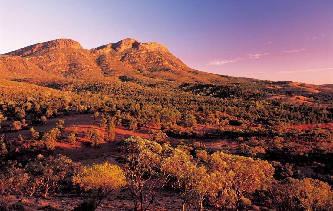 Bask in the glow of striking sunsets at Wilpena Pound | <i>Adam Bruzzone</i>