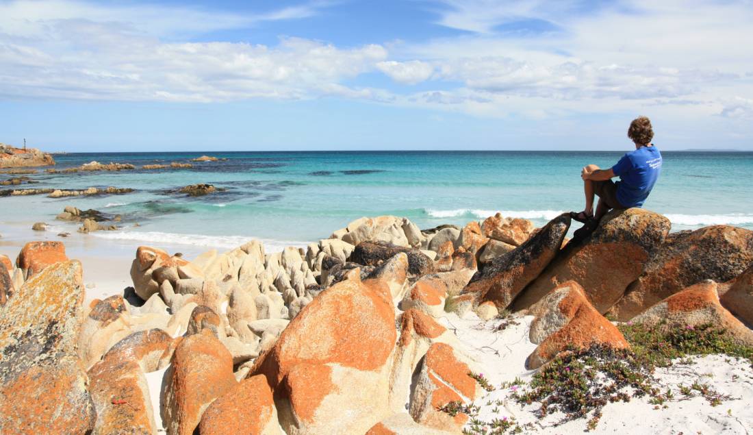 Admiring the tranquil Bay of Fires |  <i>Mick Wright</i>