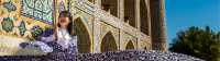 Our guides will show you Samarkand from a different angle |  Lachlan Gardiner