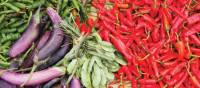Vibrant foods at Paro's local market | Scott Pinnegar