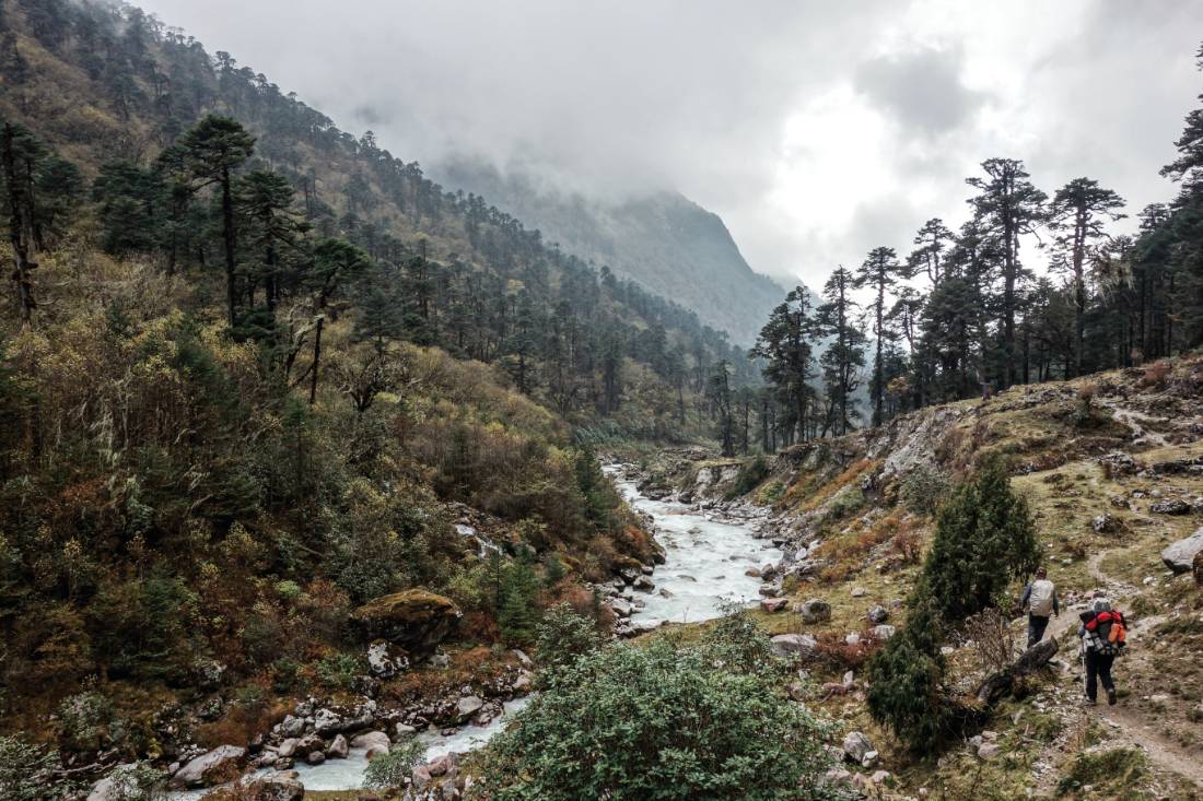 Cheram to Tortong, Kanchenjunga region. |  <i>Michelle Landry</i>
