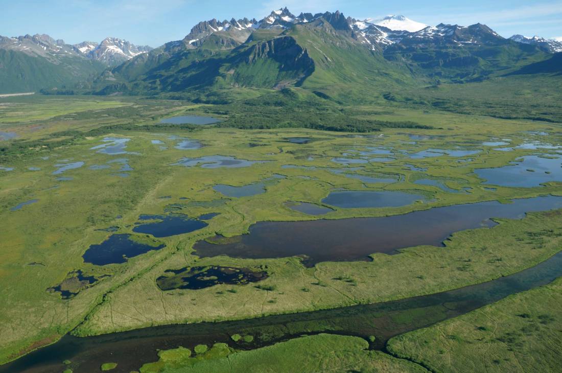 Kenai Fjords National Park in Alaska |  <i>Amanda Mallon</i>