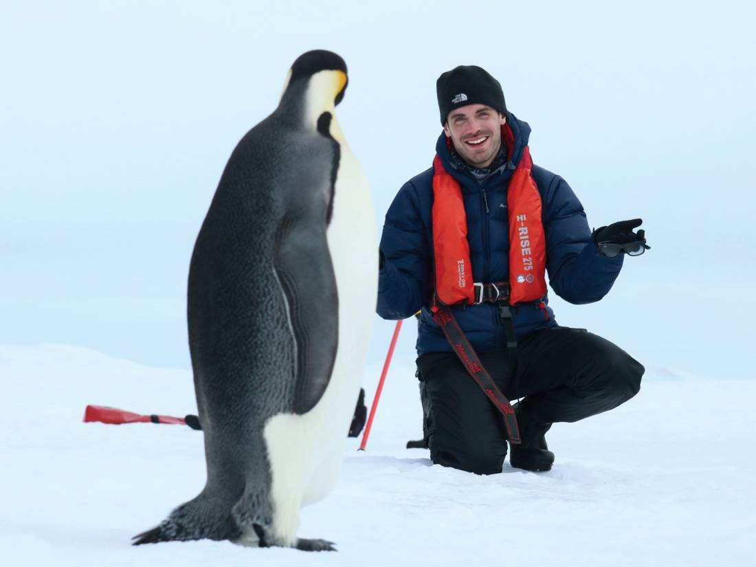 Close encounter with a Emperor Penguin |  <i>Kyle Super</i>