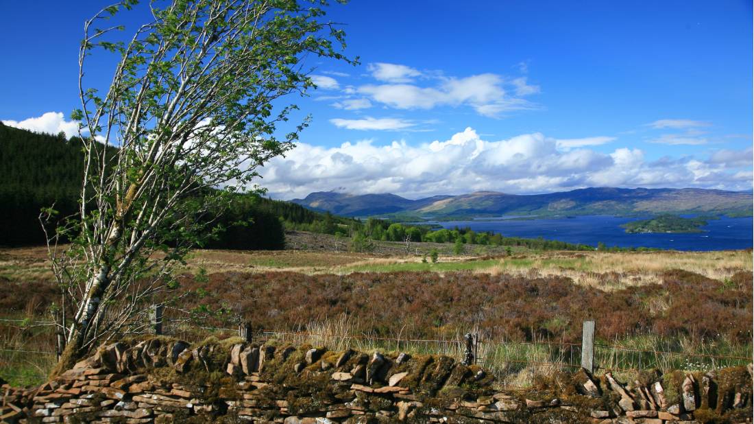 Wild Landscape towards Loch Lomond |  <i>John Millen</i>