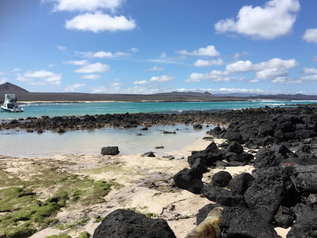 The unique coastline of the Galapagos Islands |  <i>Janet Dutton</i>
