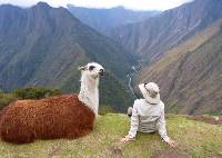 Meeting a llama on the Inca Trail |  <i>Bette Andrews</i>