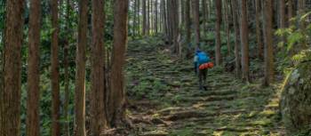Japan's Kumano Kodo is one of the two walks you need to complete to become a Dual Pilgrim