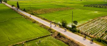 Explore the Mekong Delta fields by bike