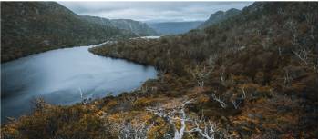 Head to Tasmania during autumn to see the fagus, Australia's only cold climate winter-deciduous tree | Jason Charles Hill