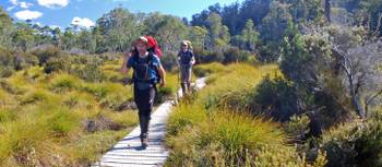 The Overland Track offers well maintained boardwalks to protect the fragile environment | Chris Buykx