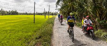 Cycling through beautiful rice fields in Cambodia | Lachlan Gardiner