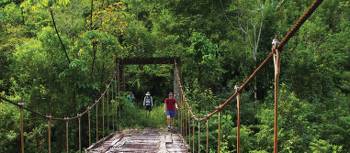 Bridge crossing on our Costa Rica Traverse trip | Michele Eckersley