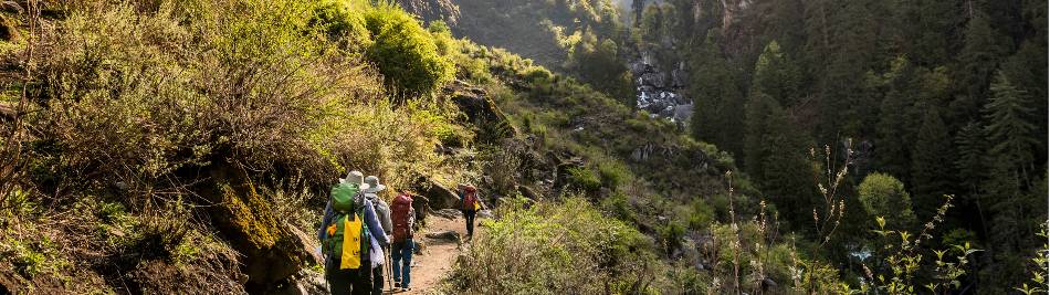 Download Strand gardiner amazon Desktop Wallpaper Strand Gardiner Amazon